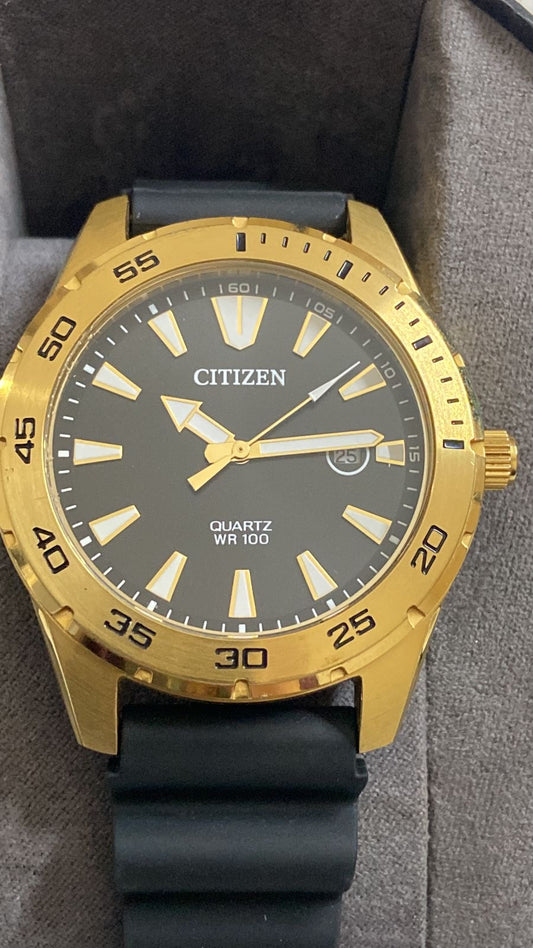 CITIZEN -Bl1043-01E