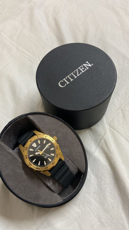 CITIZEN -Bl1043-01E